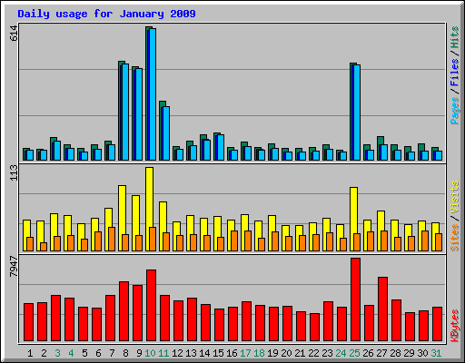 Daily usage for January 2009