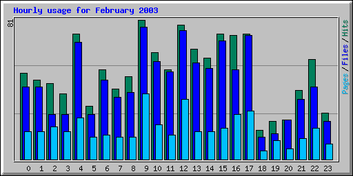 Hourly usage for February 2003