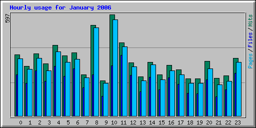 Hourly usage for January 2006