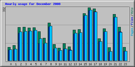 Hourly usage for December 2008