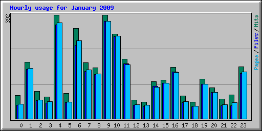 Hourly usage for January 2009