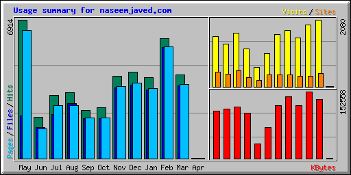 Usage summary for naseemjaved.com